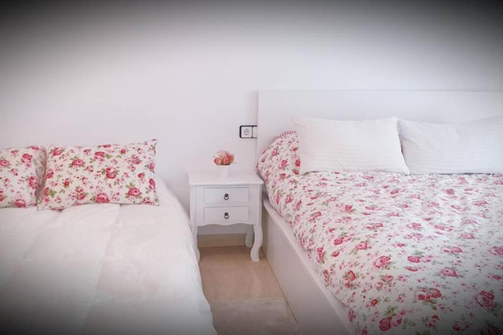 Apartamento Pepa. En El Corazon Del Delta. Sant Jaume d'Enveja Luaran gambar